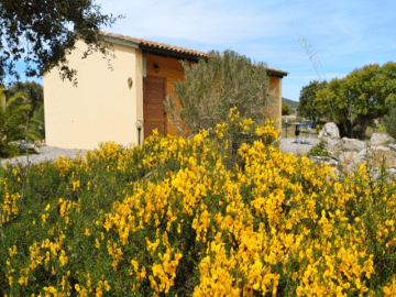 agriturismo rocce bianche 21.png