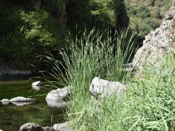 sa_stiddiosa_seula_sardinie_5.png