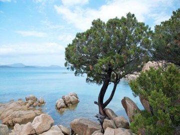 stranden-san-teodoro-sardinie (4).jpg
