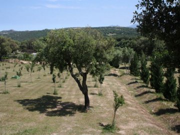 villa smeralda - telti - vakanties sardinie (3).jpg