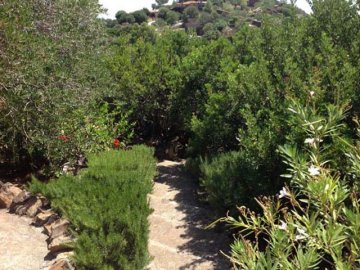 vakantiehuis sardinie - sardinia4all vakanties (17).jpg
