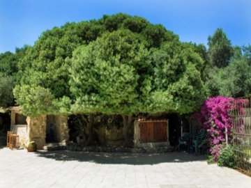 sardinie-agritursmo (1).jpg