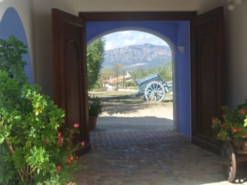 Agr Guthiddai (Foto S4A)