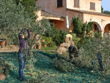 agriturismo nurazzolas - sardinie (1).png