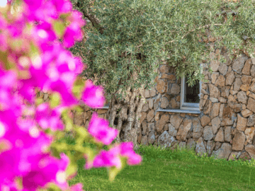 corte-bianca-hotel-sardinie (4).png