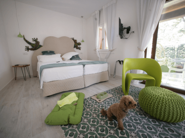 dog-friendly sardinie - giada di  geco suites in noord sardinie.png