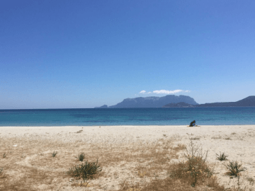 vakantiehuis sardinie - villa brezze di pittulongu - sardinia4all (1).png