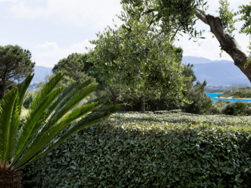 vakantiehuis-sardinie-aan-zee (5).png