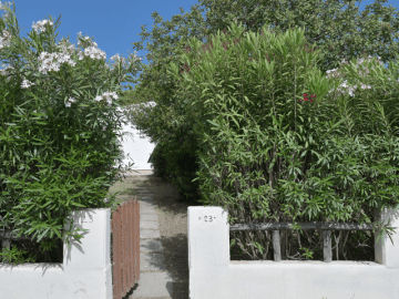villa adele costa rei - sardinia4all (1).png