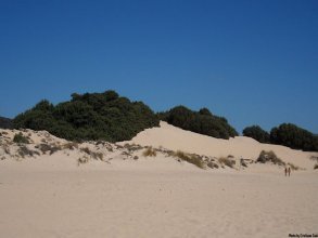 Chia - duinen