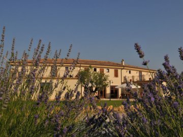 Villa Loreto - Alghero - Sardinië - Foto
