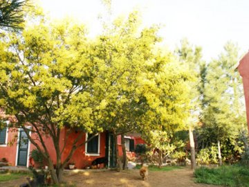 Agriturismo L'Aglientu - Loiri Porto San Paolo - Sardinië