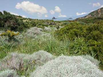Omgeving - Hotel Villa Asfodeli - Tresnuraghes - Sardinië
