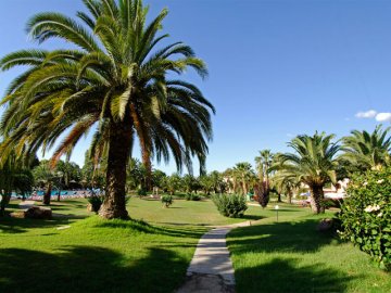 Tuin - Baia delle Palme - S. Margherita di Pula - Sardinië - Foto