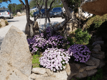 sardinie - huis met eigen zwembad - sardinia4all (5).png