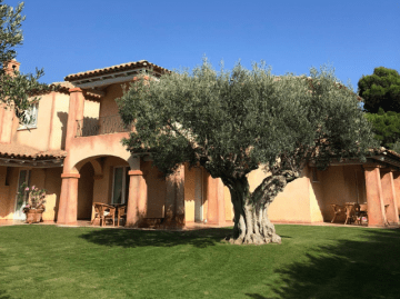 Villa Calicanto
