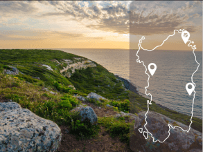 Discovering Sardinie