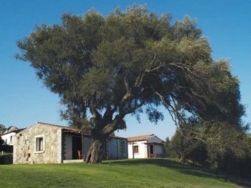 sardinia4all_arzachena